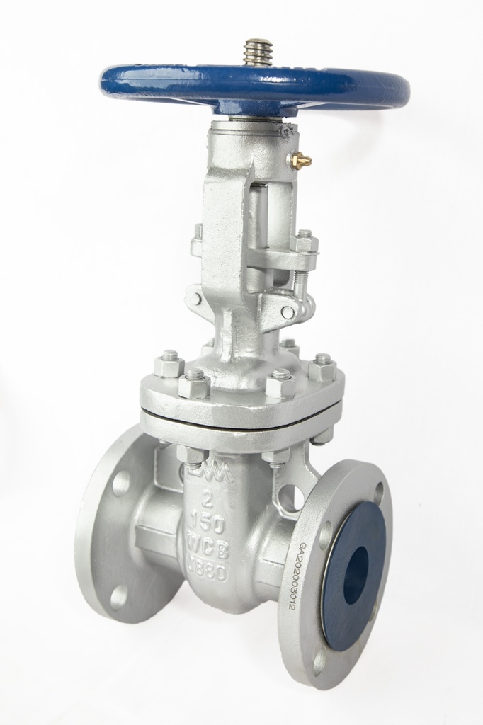 Gate Valve CS | EMA