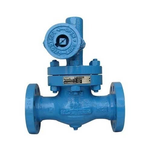 Blowdown Valve