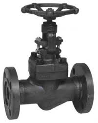 Globe Valve | Forged Steel