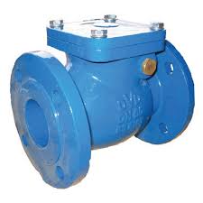 Check Valve Flanged | Ductile Iron