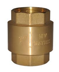 Vertical Check Valve