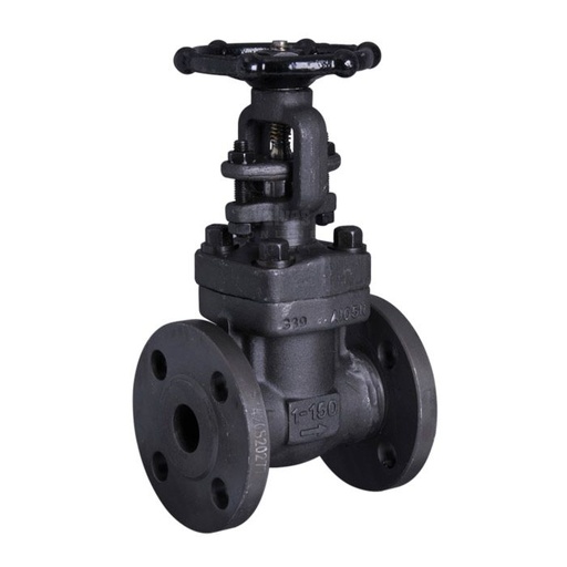 Gate Valve Flanged | API 602 | Forged Steel